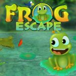 Frog Games Online Free Frog Games